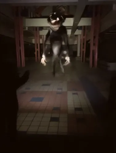 run,battōjutsu,escape,cryptid,capital escape,ninjutsu,running fast,escaping,daredevil,sōjutsu,paranormal phenomena,first person,to fear,escape route,venom,360 °,running frog,burglar,dog running,kenjutsu