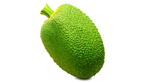 Fresh green jackfruit, solo, vertical composition, high-angle shot, detailed texture, ridged skin, stout stem, glossy leaves, natural light, soft focus, shallow depth of field, warm color tone, realis