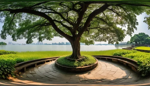 circle around tree,landscape designers sydney,hoan kiem lake,weeping willow,landscape background,landscape design sydney,flourishing tree,homes for sale in hoboken nj,background view nature,japanese garden ornament,nature garden,royal botanic garden,bodhi tree,corkscrew willow,silk tree,the japanese tree,japanese garden,green trees with water,riverside park,suzhou,Photography,General,Realistic