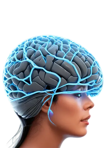 Internal brain structure, midbrain region, gray matter, neural connections, cerebral aqueduct, detailed neurons, glowing blue lighting, semi-transparent effect, 3D rendering, cinematic composition, sh