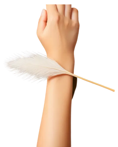 enoki,hand draw vector arrows,acupuncturists,armbands,tendonitis,cosmetic brush,sports bracelet,bandaging,adamantium,baton,watchband,bandage,feather pen,armband,rakshabandhan,magic wand,hawk feather,hand detector,feather,stretchable,Illustration,Abstract Fantasy,Abstract Fantasy 17