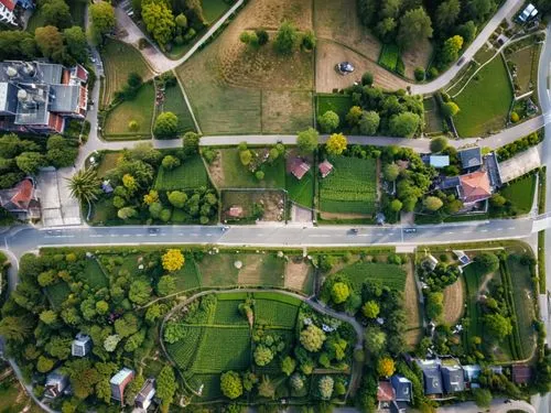 aerial landscape,drone view,drone shot,aerial photography,drone image,suburbs,drone photo,urban park,overhead shot,aerial shot,mavic 2,suburban,green space,dji spark,bird's eye view,bird's-eye view,dj