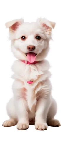 huichon,white dog,chihuahua,transparent background,pomeranian,inu,dog illustration,cute puppy,french bulldog,shih tzu,pet,chromaffin,dogana,white cat,maltese,westie,dog,cheerful dog,on a transparent background,the french bulldog,Conceptual Art,Sci-Fi,Sci-Fi 12