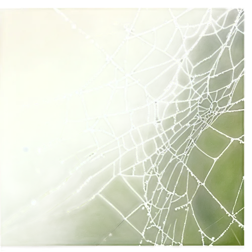 morning dew in the cobweb,cobweb,cobwebs,spider's web,spider silk,spiderweb,tangle-web spider,spider web,web,argiope,spider net,webs,mood cobwebs,frosted glass pane,widow spider,acorn leaf orb web spider,web element,orb-weaver spider,araneus,webbing,Conceptual Art,Fantasy,Fantasy 19