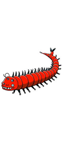 1. Centipede,a drawing of a very big orange bug,centipede,millipede,bloodworm,garridos,gopendra,ovipositor,jad,wurm,micropholis,wormlike,myriapods,zygaena,larval,cherry shrimp,micrurus,larva,salamandr