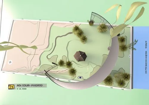 nematode,lasius,nematodes,relief map,rhizobia,parasitosis,Photography,General,Realistic