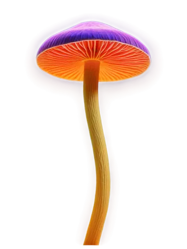 anti-cancer mushroom,tree mushroom,yellow mushroom,forest mushroom,mushroom type,champignon mushroom,agaric,lingzhi mushroom,mushroom,club mushroom,edible mushroom,mushroom hat,umbrella mushrooms,cubensis,toadstool,toadstools,mushroom landscape,small mushroom,situation mushroom,medicinal mushroom,Illustration,Realistic Fantasy,Realistic Fantasy 07