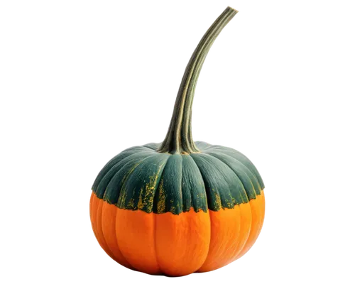 calabaza,cucurbita,decorative pumpkins,striped pumpkins,gourd,cucurbit,pumpsie,hokkaido pumpkin,halloween pumpkin,white pumpkin,decorative squashes,kirdyapkin,pumpkin,pumkin,pumpkin autumn,kabocha,gourds,calabazas,zucca,squash,Illustration,Retro,Retro 07