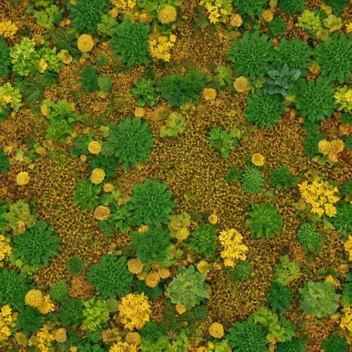 mix golden, brown and green colur,flower carpet,marigolds,yellow raspberries,clover pattern,brigadeiros,microflora,calceolaria,flower marigolds,garden marigold,marsh marigolds,pollen,yellow daisies,ye