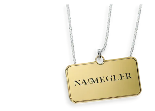 name tag,gold foil laurel,neurotransmitter,amulet,namul,lacquer,chamaemelum nobile,terller,name,halter,rambler,roumbaler,treppengeländer,pendant,emmenthaler cheese,inflammable,gold lacquer,daimler,daimler majestic major,numeral,Illustration,Realistic Fantasy,Realistic Fantasy 16