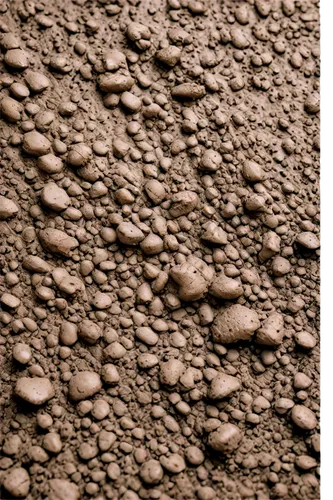 mud wall,wall texture,bryozoans,sandstone wall,bronze wall,wall plaster,wall stone,carved wall,bioturbation,stone pattern,wall panel,bryozoan,coprolites,honeycomb stone,bryozoa,stone background,cork wall,granulomas,rough plaster,cement wall,Conceptual Art,Daily,Daily 07