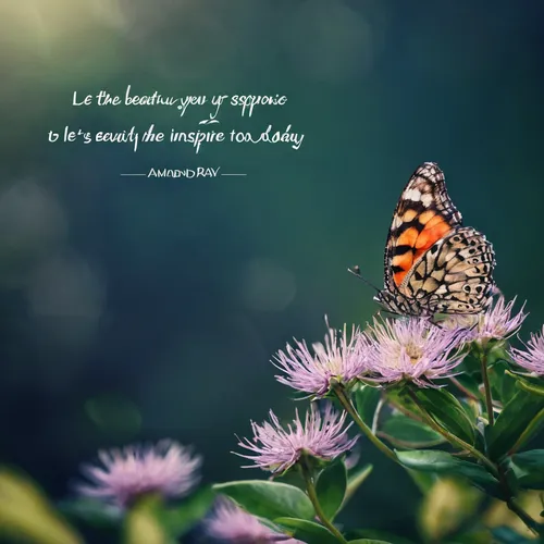 butterfly isolated,hemmingway,butterfly background,butterfly day,isolated butterfly,monarch butterfly,the cultivation of,the way of nature,butterfly,ulysses butterfly,gatekeeper (butterfly),abundance,quote,marcus aurelius,butterfly moth,morning dew,hesperia (butterfly),confucius,viceroy (butterfly),american painted lady,Photography,Documentary Photography,Documentary Photography 11