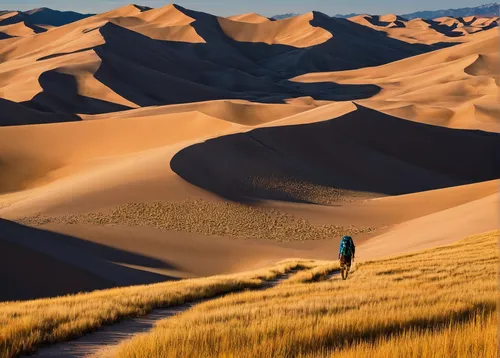 Hiking through the desert of Great Sand Dunes National Park and Preserve,the gobi desert,gobi desert,crescent dunes,great sand dunes,namib,namib desert,dune landscape,colorado sand dunes,sand dunes,ad