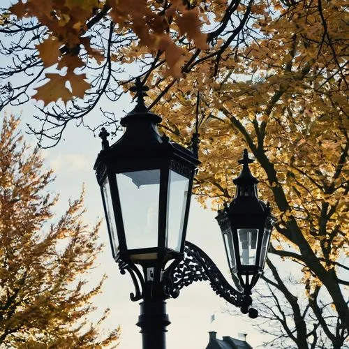 streetlamps,street lamps,streetlamp,street lamp,iron street lamp,lamplight,historic street lighting,streetlight,lamppost,gas lamp,lampposts,street light,lamp post,street lantern,light posts,light of autumn,outdoor street light,illuminated lantern,vintage lantern,light post,Illustration,Black and White,Black and White 33