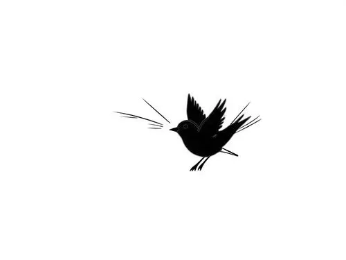 karasu,bird png,3d crow,crane bird flying,moineau,birdwing,Design Sketch,Design Sketch,Rough Outline