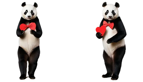 tuxedo just,pandas,tuxedo,animals play dress-up,chinese panda,suit of spades,anthropomorphized animals,lun,panda,cangaroo,formal wear,french tian,madagascar,pandero jarocho,panda bear,waiter,men's suit,circus animal,suit actor,formal attire,Conceptual Art,Daily,Daily 14