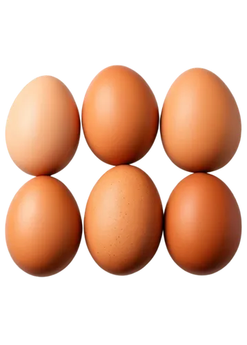 brown eggs,eggs,chicken eggs,range eggs,colored eggs,egg basket,egg shells,brown egg,white eggs,raw eggs,broken eggs,egg yolks,oeuvres,egg,goose eggs,chicken egg,zoeggler,hen's egg,yolks,egg tray,Illustration,Paper based,Paper Based 17