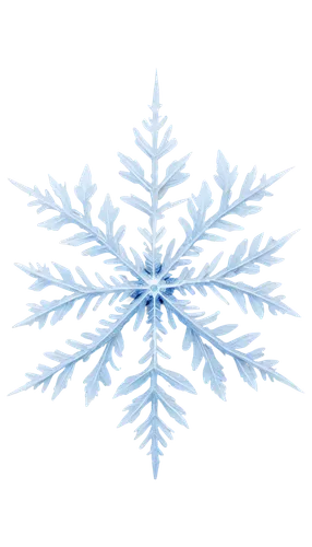 snowflake background,blue snowflake,christmas snowflake banner,snow flake,wreath vector,snowflake,white snowflake,ice crystal,christmas tree pattern,snowflakes,gold foil snowflake,blue spruce,winter background,weather icon,christmas snowy background,summer snowflake,winter aster,christmas motif,red snowflake,christmas pattern,Illustration,Retro,Retro 14