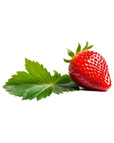 strawberry,strawberry ripe,strawberry plant,alpine strawberry,red strawberry,mock strawberry,strawberries,strawberries falcon,raspberry leaf,virginia strawberry,mollberry,west indian raspberry ,west indian raspberry,strawberry juice,berry fruit,native raspberry,salad of strawberries,strawberry tree,red berry,wall,Photography,Artistic Photography,Artistic Photography 10