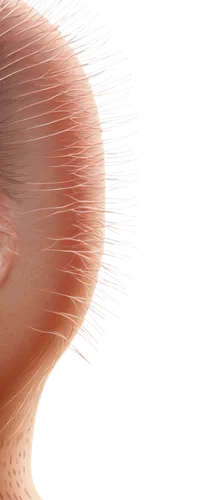 nasal,keratoconus,temporomandibular,velopharyngeal,nasopharyngeal,membranacea,infraorbital,oropharyngeal,reflex eye and ear,pharyngeal,glossopharyngeal,papillae,nasopharynx,reflexa,tympanic membrane,craniosacral,mirifica,keratoconjunctivitis,supraorbital,vestibular,Illustration,Japanese style,Japanese Style 17