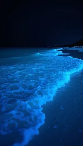 bioluminescent,bioluminescence,blue water,dark beach,blue waters,sea night