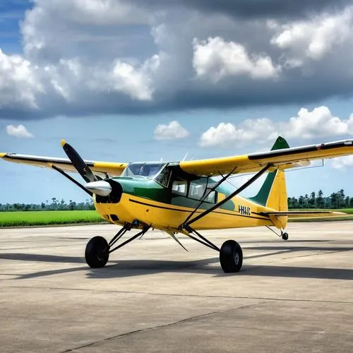 cessna 210,cessna 206,cessna o-1 bird dog,cessna 182,piper cub,cessna 185,piper j-3 cub,cessna 150,cessna 172,cessna 152,piper pa-18,ultralight aviation,aeronca l-16,cessna at-17 bobcat,cessna,light aircraft,sport aircraft,cessna 310,stinson reliant,antonov an-2,Photography,General,Realistic