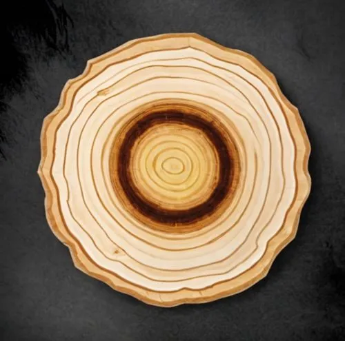 wooden slices,dendrochronology,wooden plate,wooden spinning top,wooden rings,tree slice,wooden bowl,wooden wheel,wood background,circle around tree,slice of wood,wooden spool,spiral background,planchette,cuttingboard,wooden background,polypore,circular puzzle,knothole,woodturning