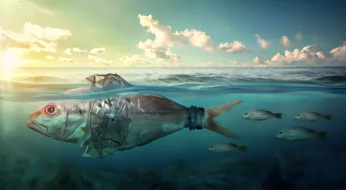 ocean pollution,photo manipulation,underwater landscape,underwater background,photomanipulation,fish in water,image manipulation,ocean background,photoshop manipulation,sea-life,aquatic life,world dig