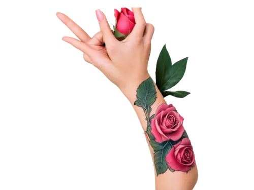 rose png,hand digital painting,flower rose,rose flower illustration,rose flower,rosa peace,rose roses,pink rose,pink roses,romantic rose,rose,landscape rose,peace rose,roses,arrow rose,rose bloom,rosa,spray roses,blooming roses,mehndi design,Illustration,American Style,American Style 03