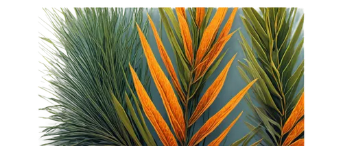 sabal palmetto,palm pasture,casuarina,wine palm,desert palm,palm fronds,sweet grass plant,ornamental grass,citronella,palm leaf,pine needle,saw palmetto,palm sunday,palm branches,yucca palm,grass fronds,date palm,pine needles,cycad,palm field,Illustration,Black and White,Black and White 15