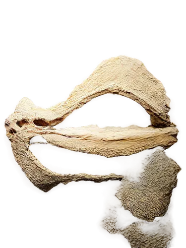 Alligator skull, ancient fossil, sharp teeth, empty eye sockets, rough bony texture, worn surface, pale beige color, dramatic shadows, high contrast lighting, 3/4 composition, shallow depth of field, 