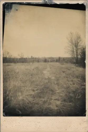 ambrotype,farmland,small meadow,burial mounds,pastures,orchard meadow,orchards,suitcase in field,grasslands,salt meadow landscape,swampy landscape,transience,wild meadow,hayfield,grassland,prairie,landscapes,rural landscape,farm landscape,copse,Photography,Documentary Photography,Documentary Photography 03