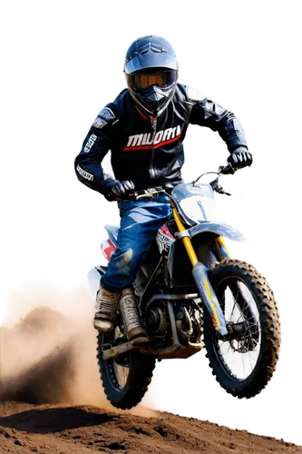 motorcross,motocross,motocross schopfheim,dirt bike,baggett,motocross riding,desalle,dirtbike,motorstorm,emig,tixier,supercross,hangtown,supermini,motocyclisme,matthes,smets,emx,hawkstone,brayton,Illustration,Retro,Retro 02