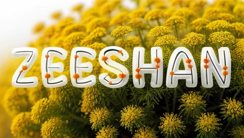 zeehan,beebalm,siberian chrysanthemum,cd cover,afghani,arshan,yellow chrysanthemum,logo header,manakish,zigzag background,central tien shan,easter egg sorbian,logotype,yellow chrysanthemums,iranian nowruz,zoom background,gradient mesh,celestial chrysanthemum,xerochrysum bracteatumm,z,Realistic,Flower,Yarrow