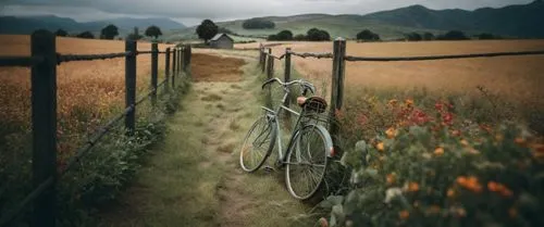 пусто,a bike leaned against a gate in the middle of a field,bicycle ride,bicycle path,bicycle,bicyclette,woman bicycle,road bike