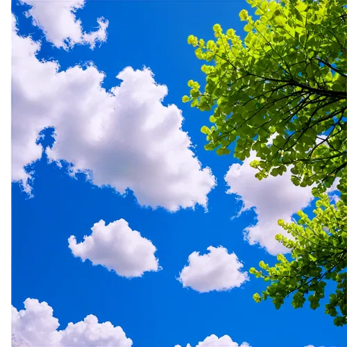 blue sky clouds,blue sky and clouds,cloud image,blue sky and white clouds,summer sky,bluesky,blue sky,sky,cloudstreet,cloudlike,skydrive,sky clouds,single cloud,clouds sky,clouds,cloud shape frame,skyscape,tree canopy,against sky,skywards,Illustration,Retro,Retro 01