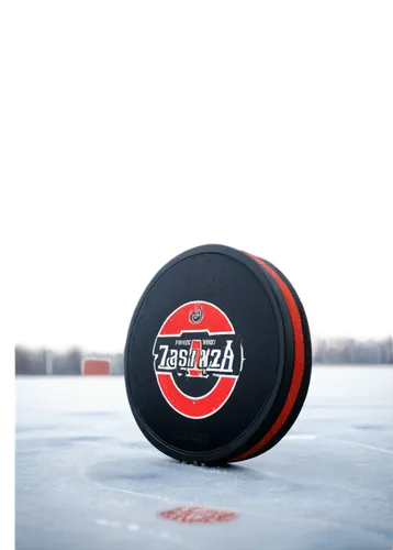 ajhl,eihl,ojhl,daypuck,tappara,nojhl,liiga,khl,pucks,nhl,eishockey,echl,aihl,frolunda,qmjhl,sphl,mjhl,ice hockey,icehockey,opjhl,Conceptual Art,Fantasy,Fantasy 12