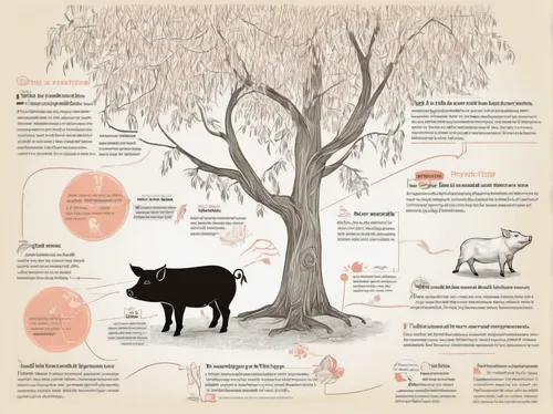 Write a poetic description of a serene countryside farm, where a mini pig enjoys a lazy afternoon under the shade of a willow tree.,livestock farming,beef cattle,argan tree,domestic cattle,ruminants,g