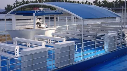 pontoon boat,sewage treatment plant,life saving swimming tube,houseboat,water bus,wastewater treatment,floating restaurant,cube stilt houses,floating production storage and offloading,floating stage,solar cell base,luxury yacht,water cube,coastal motor ship,cruiseferry,roof top pool,water plant,dug-out pool,fish farm,infinity swimming pool,Photography,General,Realistic