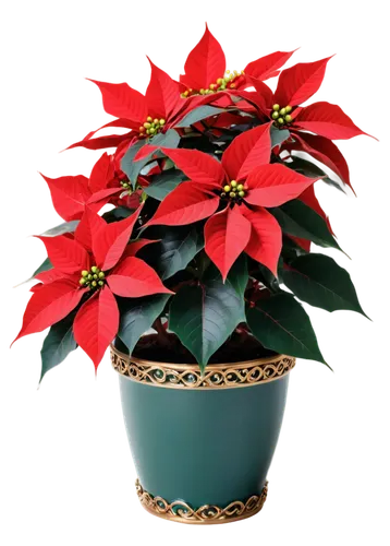 xmas plant,poinsettia,christmas flower,poinsettias,flower of christmas,potted plant,poinsettia flower,flower christmas,christmas motif,santan,potted tree,ornamental plant,decorative bush,holly wreath,christmas border,christmasbackground,christmas background,ornamental shrub,christmas rose,flower of december,Illustration,Realistic Fantasy,Realistic Fantasy 02