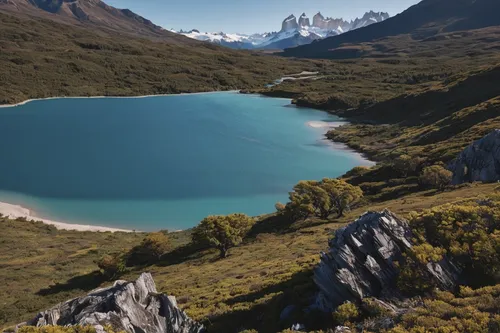 Compose a poem capturing the untamed spirit of Patagonia's landscapes.,torres del paine national park,torres del paine,patagonia,bachalpsee,lago federa,laguna verde,glacial lake,chile,laguna miscanti,