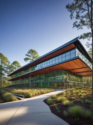 Auburn University College of Architecture Design & Construction, modern academic building, glass facade, steel structure, grand atrium, staircase, open floor plan, wooden accents, natural light, green