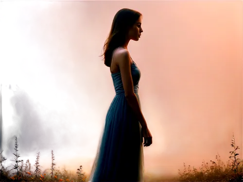 girl in a long dress,margaery,woman silhouette,girl in a long dress from the back,kahlan,arwen,melian,swath,celtic woman,dreamfall,noldor,nightdress,margairaz,isolde,euridice,faerie,ampt,sigyn,elenore,galadriel,Illustration,Children,Children 03