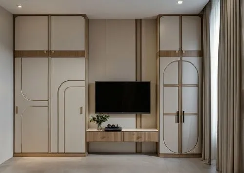 walk-in closet,room divider,cabinetry,hinged doors,armoire,tv cabinet,kitchen cabinet,pantry,cupboard,cabinets,entertainment center,sliding door,hallway space,contemporary decor,kitchenette,interior modern design,sideboard,search interior solutions,dark cabinetry,modern room