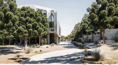 athens art school,biotechnology research institute,archidaily,stanford university,palo alto,school design,research institute,university library,kirrarchitecture,palma trees,music conservatory,business school,exposed concrete,urban design,new building,caravanserai,arq,research institution,lafayette park,eco-construction,Architecture,Commercial Building,Modern,Organic Modernism 1