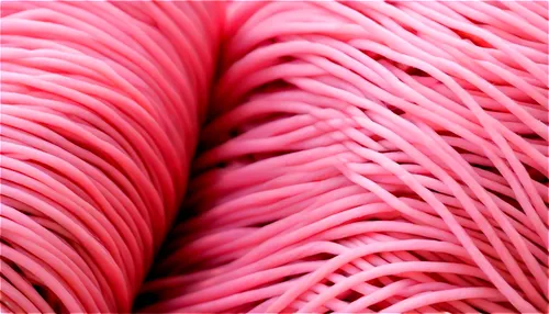 pink quill,slinky,basket fibers,fringed pink,thatch roofed hose,magenta,glass fiber,natural rubber,rhubarb,optical fiber cable,asbestos,wire rope,synthetic rubber,rope detail,mooring rope,cable layer,square tubing,helical,elastic rope,hose,Illustration,Paper based,Paper Based 09