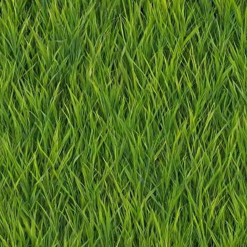 green wallpaper,block of grass,zoysia,grass,gras,grass blades,lawn,grass grasses,green lawn,grassman,green grass,free background,seamless texture,paspalum,grasslike,wheat grass,green background,grassy,grass lily,blades of grass,Illustration,Abstract Fantasy,Abstract Fantasy 10