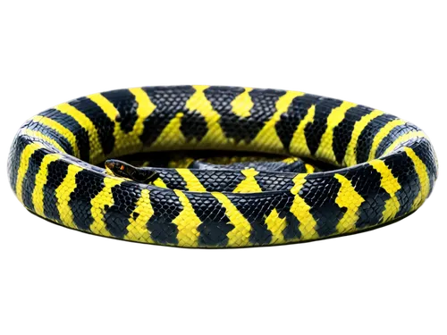 carpet python,yellow python,lampropeltis,curved ribbon,vipera,venomous snake,boat rope,reticulatus,kingsnake,anacondas,tiger python,anaconda,mooring rope,nonvenomous,garter snake,ball python,serpiente,corporal,inflatable ring,knake,Illustration,Black and White,Black and White 10