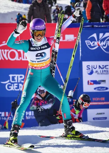 rosa khutor,ski cross,ski race,nordic combined,biathlon,alpine skiing,val bavona,slalom,ski pole,cross-country skier,matti suuronen,keslowski,jáchymov,piste,nordic skiing,monoski,ski,speed skating,anna lehmann,podium,Art,Classical Oil Painting,Classical Oil Painting 32