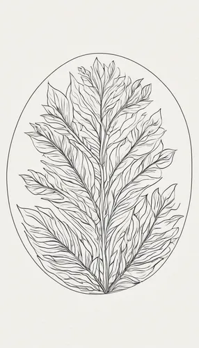 Design a minimalistic art logo inspired by nature.,botanical line art,leaf drawing,saltbush,fern leaf,thuja,pine needle,birch tree illustration,eastern hemlock,singleleaf pine,loose-leaf,custody leaf,